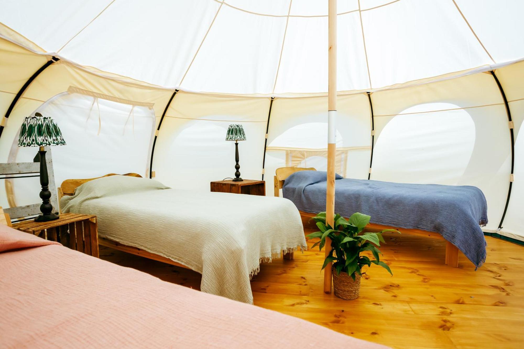 Villa Luxury Glamping Retreat In Battle Exterior foto